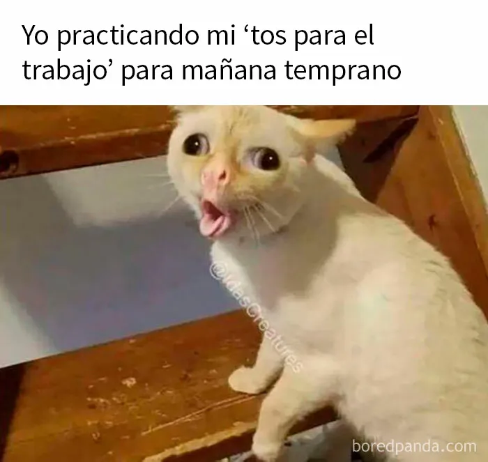 20 De los mejores memes sobre el trabajo que te harán reír y luego llorar