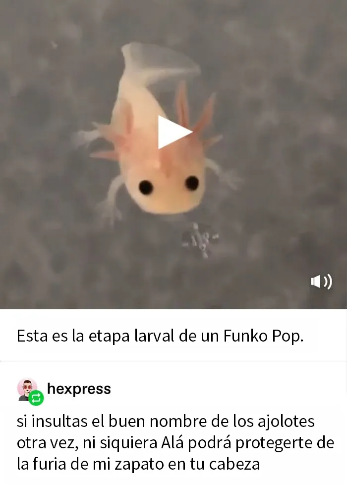 20 Personas amenazando a alguien de formas divertidas y caóticas, compartidas en el grupo "amenazas raras"