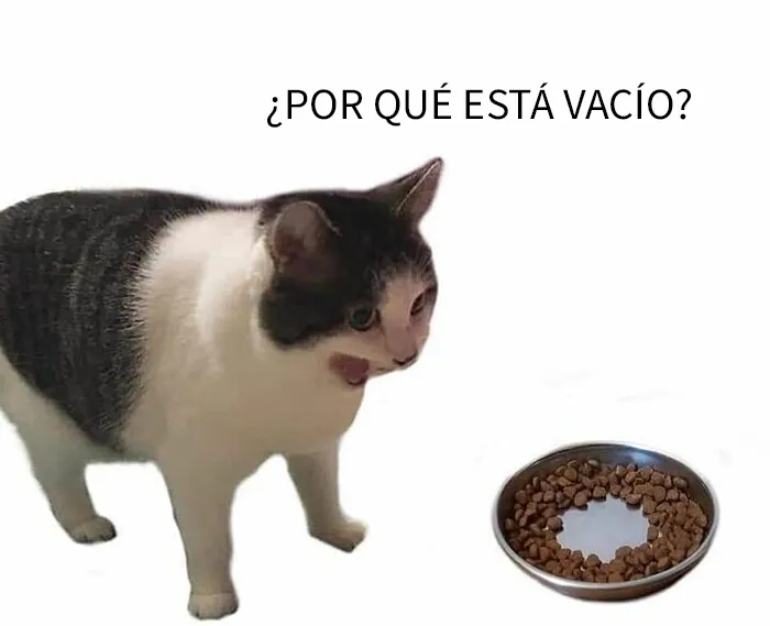 25 Divertidos memes de gatos que muestran por qué internet los ama tanto
