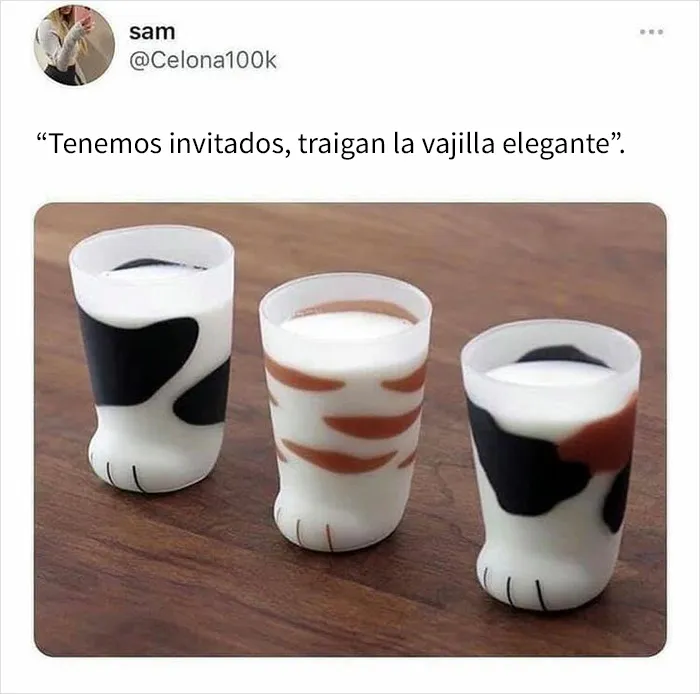 25 Divertidos memes de gatos que muestran por qué internet los ama tanto