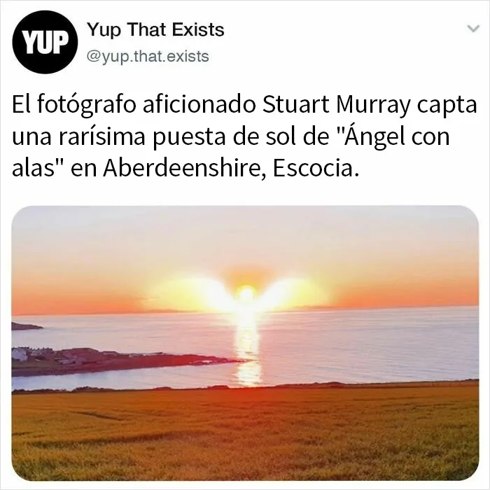 «Sí, eso existe»: 20 Cosas que quizá no sabías que existían, compartidas en instagram (nuevas fotos)