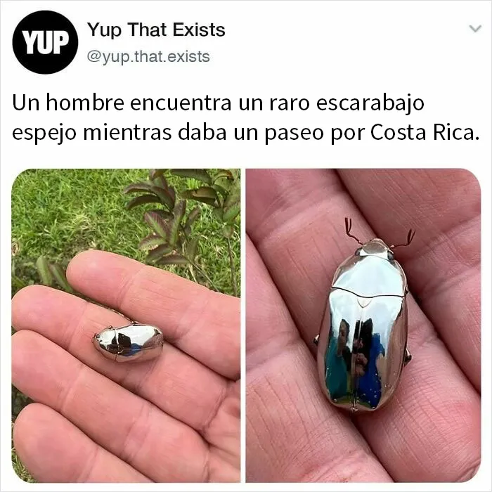 «Sí, eso existe»: 20 Cosas que quizá no sabías que existían, compartidas en instagram (nuevas fotos)