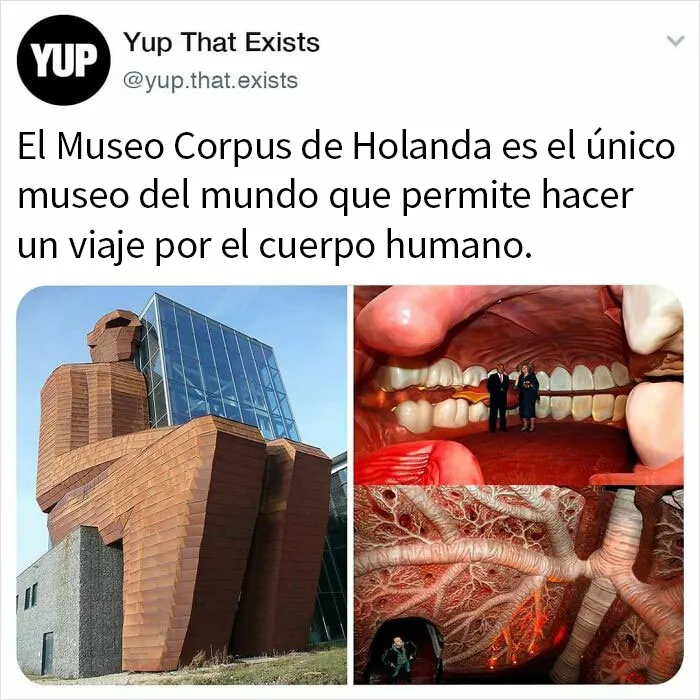 «Sí, eso existe»: 20 Cosas que quizá no sabías que existían, compartidas en instagram (nuevas fotos)
