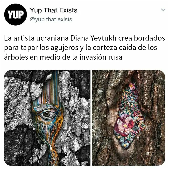 «Sí, eso existe»: 20 Cosas que quizá no sabías que existían, compartidas en instagram (nuevas fotos)