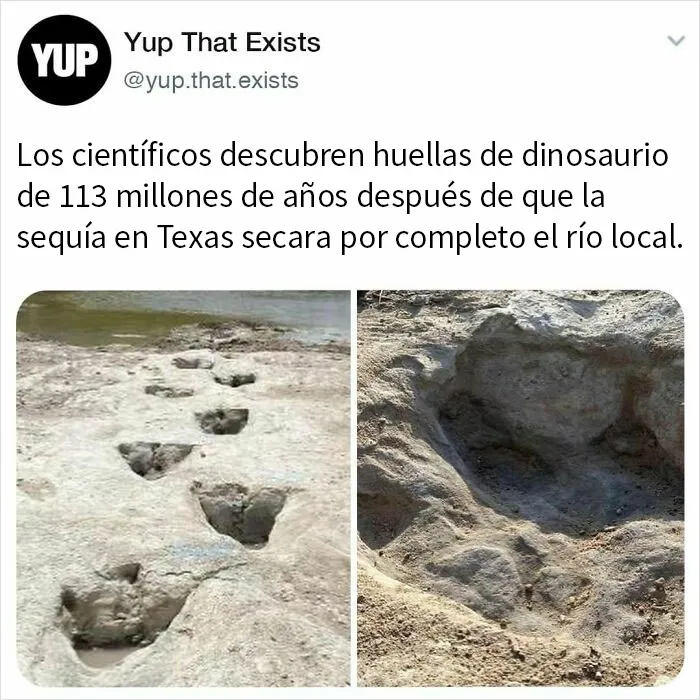 «Sí, eso existe»: 20 Cosas que quizá no sabías que existían, compartidas en instagram (nuevas fotos)
