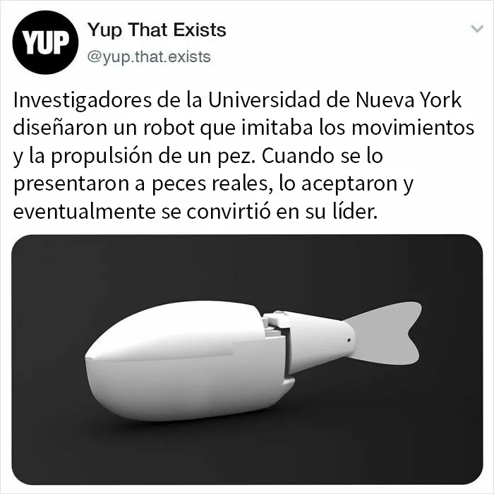 «Sí, eso existe»: 20 Cosas que quizá no sabías que existían, compartidas en instagram (nuevas fotos)