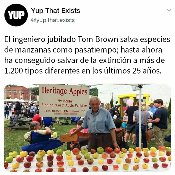 «Sí, eso existe»: 20 Cosas que quizá no sabías que existían, compartidas en instagram (nuevas fotos)