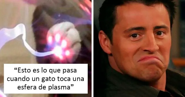 "Lo mejor y lo peor de Twitter": 20 de las más sorprendentes opiniones sobre casi todo (nuevas fotos)
