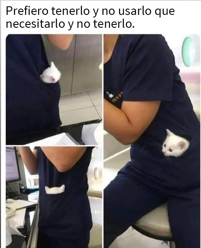 25 Fotos y memes que captan perfectamente cómo es vivir con gatos
