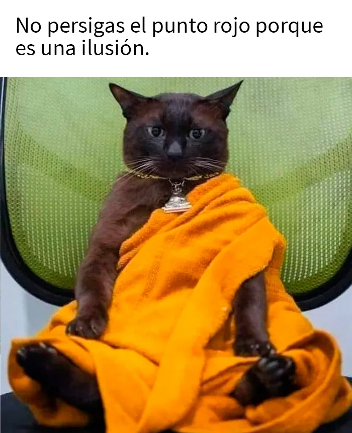 25 Fotos y memes que captan perfectamente cómo es vivir con gatos