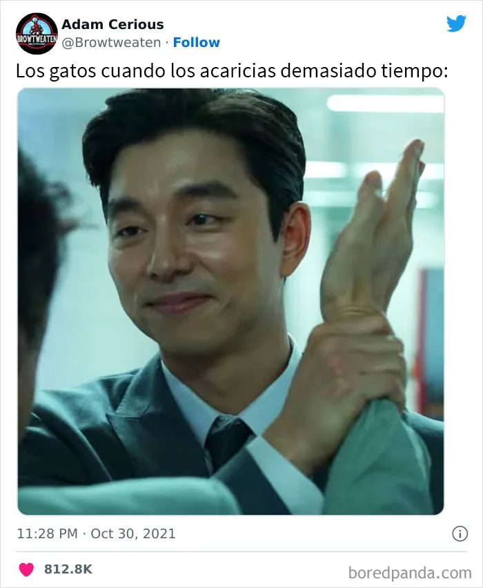 25 Fotos y memes que captan perfectamente cómo es vivir con gatos