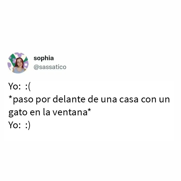 25 Fotos y memes que captan perfectamente cómo es vivir con gatos