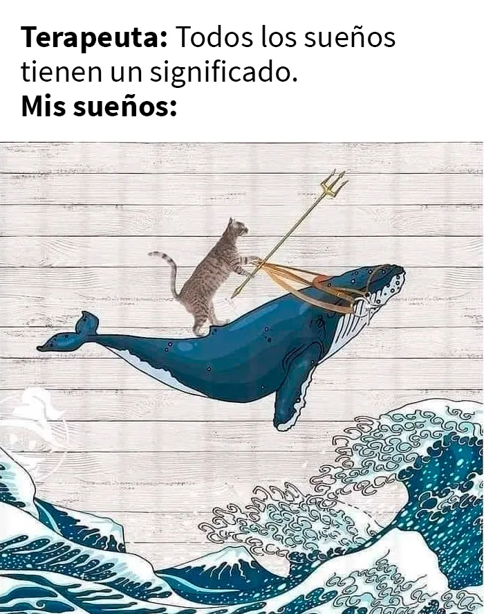25 Fotos y memes que captan perfectamente cómo es vivir con gatos