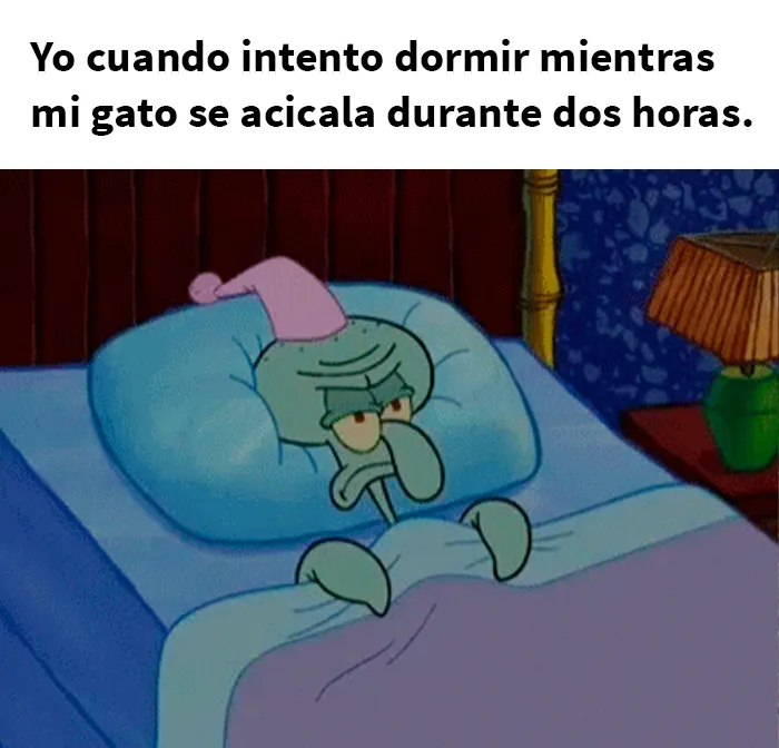 25 Fotos y memes que captan perfectamente cómo es vivir con gatos