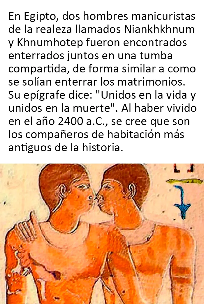 20 Memes de Historia tan divertidos como acertados (nuevas imágenes)