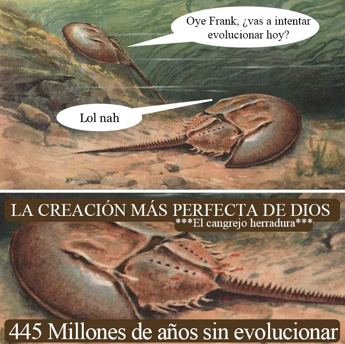 20 Memes de Historia tan divertidos como acertados (nuevas imágenes)