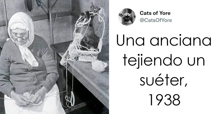 Los gatos destrozando cosas no son un problema moderno, como muestran estas 24 imágenes a través de la historia