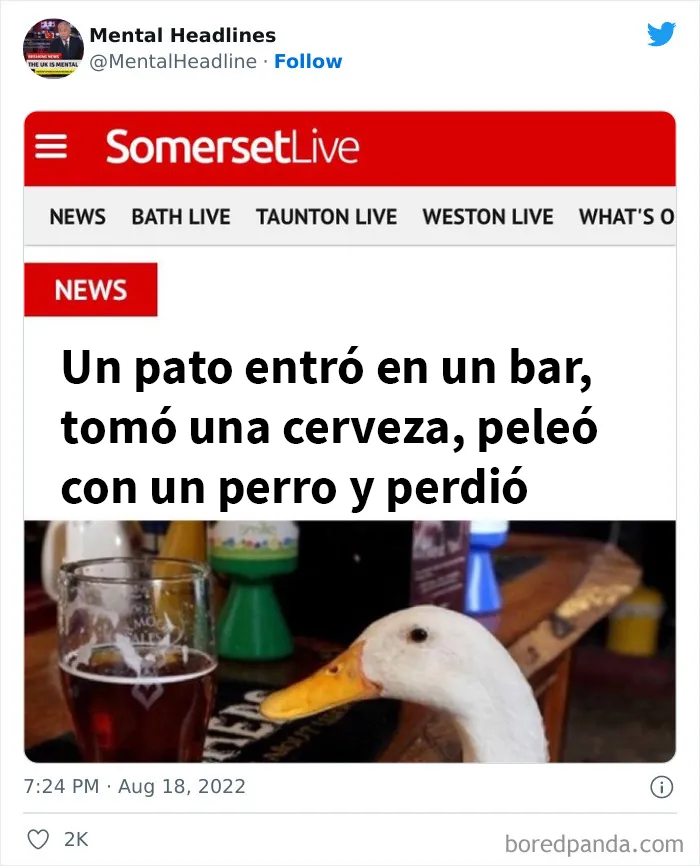 20 Titulares muy divertidos vistos online y compartidos en twitter (nuevas publicaciones)
