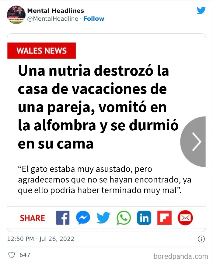 20 Titulares muy divertidos vistos online y compartidos en twitter (nuevas publicaciones)