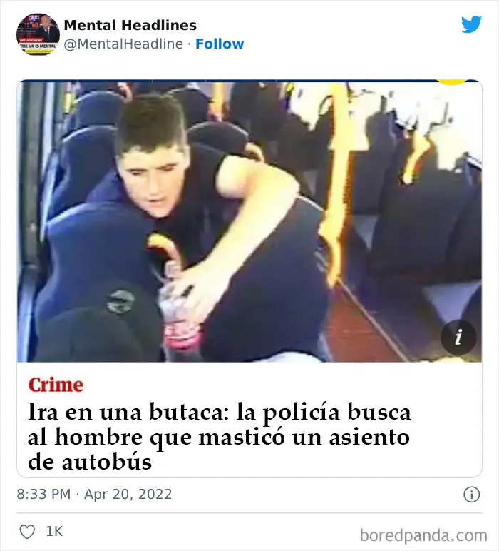 20 Titulares muy divertidos vistos online y compartidos en twitter (nuevas publicaciones)