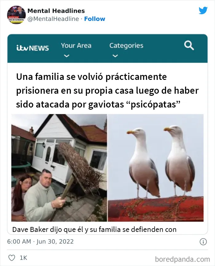 20 Titulares muy divertidos vistos online y compartidos en twitter (nuevas publicaciones)