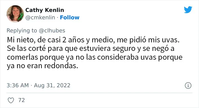20 Niños testarudos que se niegan a comer lo que les ponen sus padres