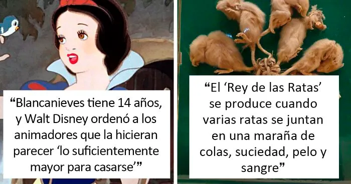 "¿Sabes algún dato divertido que a la vez sea ligeramente inquietante?": 25 respuestas