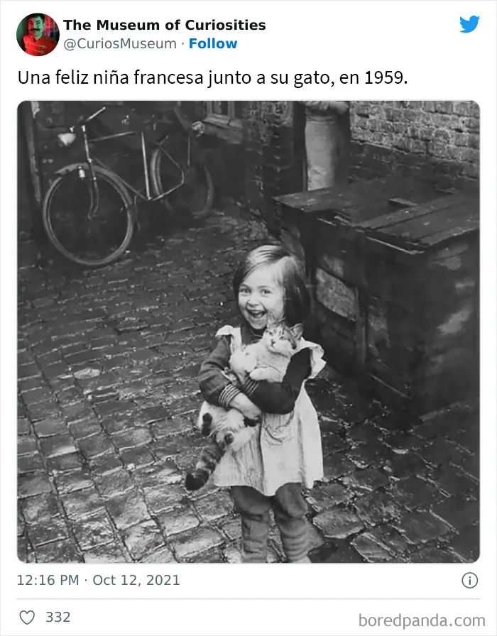 20 Hallazgos ridículamente interesantes compartidos por este museo en Twitter