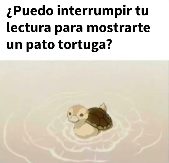 Pato tortuga. +100 en ternura, +100 en defensa y +1000 en cuac.