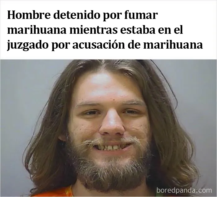 20 Noticias ridículas de la vida real que parecen falsas, compartidas por esta comunidad