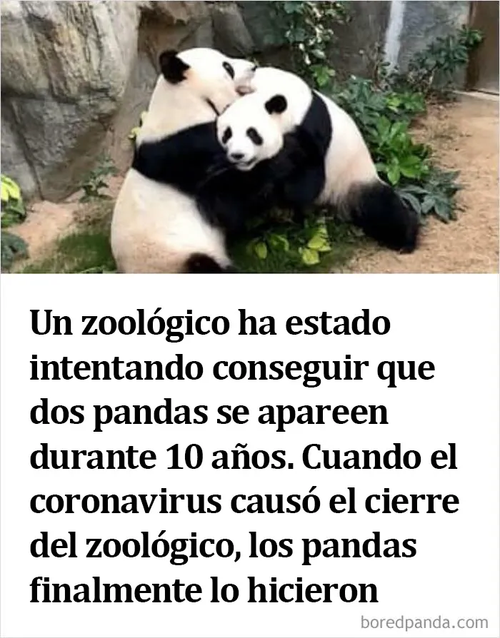 20 Noticias ridículas de la vida real que parecen falsas, compartidas por esta comunidad