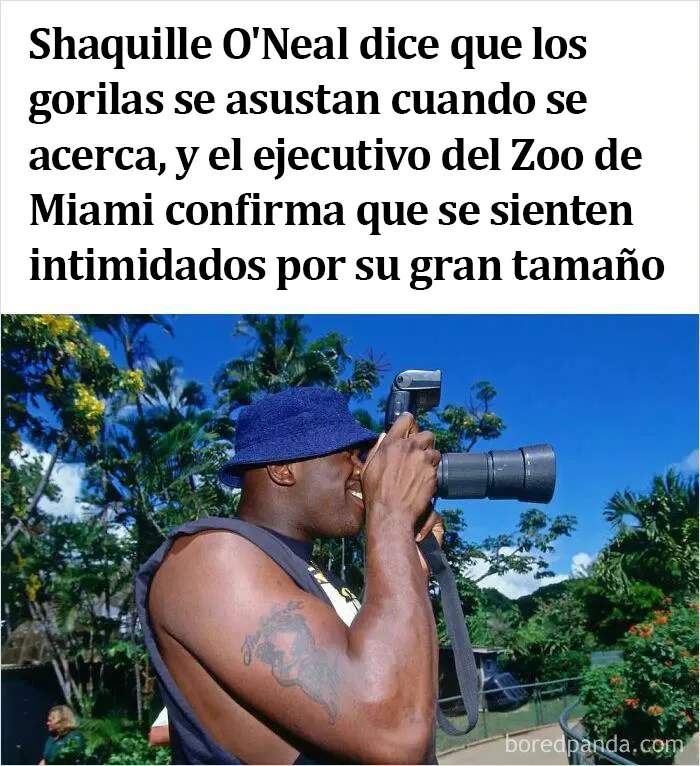 20 Noticias ridículas de la vida real que parecen falsas, compartidas por esta comunidad