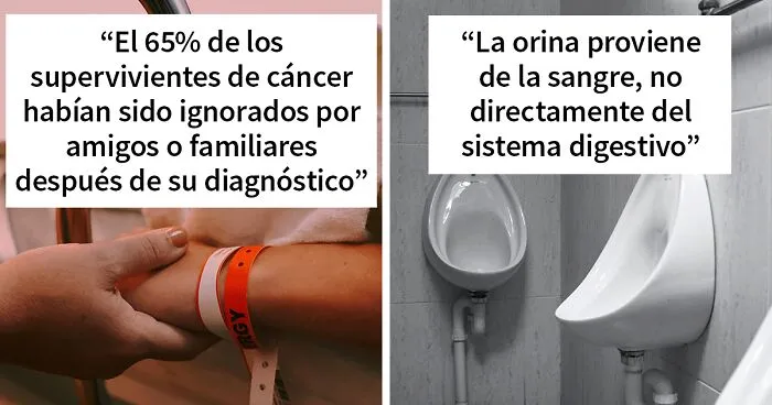 "Hoy aprendí": 35 Nuevas curiosidades sobre el mundo que no aprendiste en clase