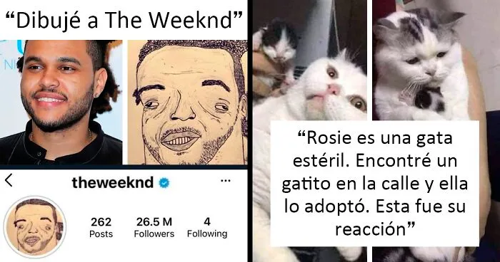 Si te sientes deprimido, estas 20 reconfortantes publicaciones quizá te animen
