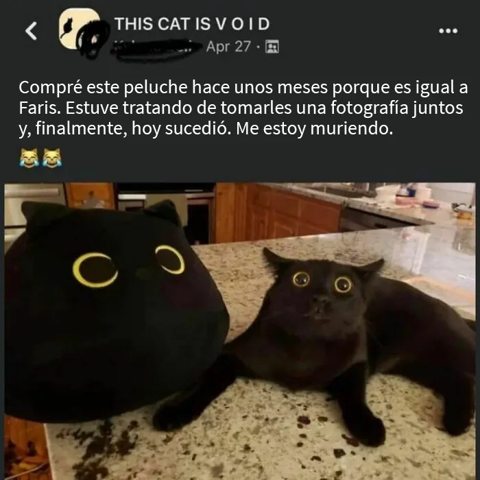 20 Publicaciones adorables compartidas por la cuenta más reconfortante en internet (Nuevas imágenes)
