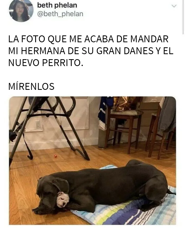20 Publicaciones adorables compartidas por la cuenta más reconfortante en internet (Nuevas imágenes)