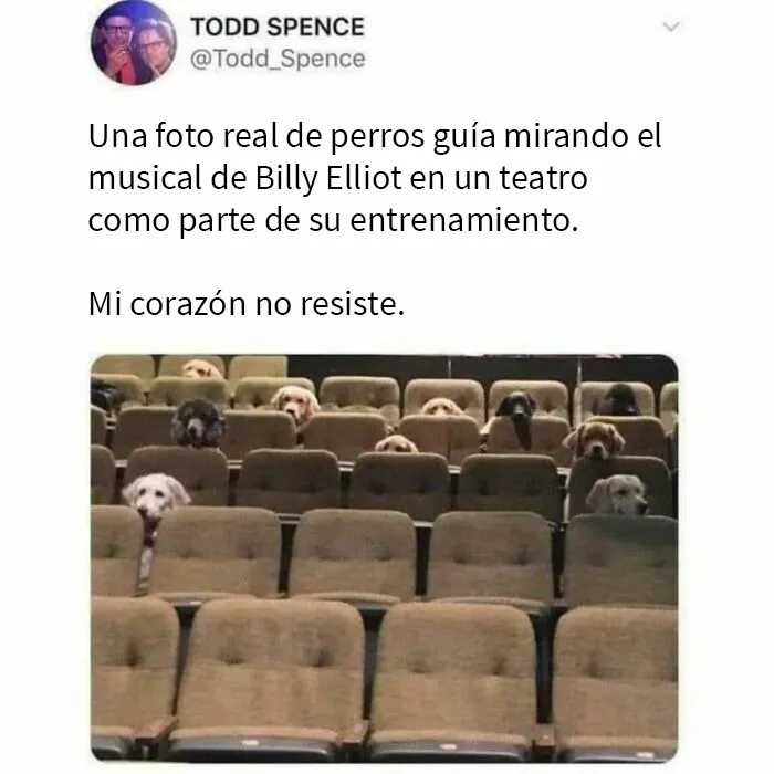 20 Publicaciones adorables compartidas por la cuenta más reconfortante en internet (Nuevas imágenes)
