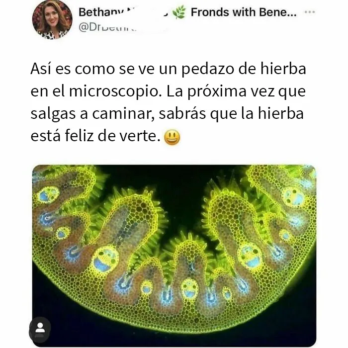 20 Publicaciones adorables compartidas por la cuenta más reconfortante en internet (Nuevas imágenes)