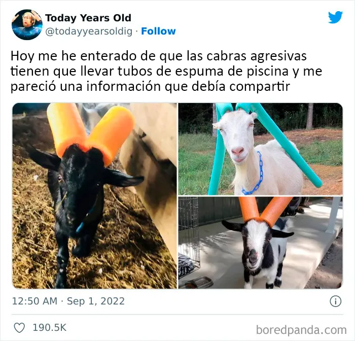 20 Datos muy interesantes compartidos por el proyecto de redes sociales "Today Years Old"