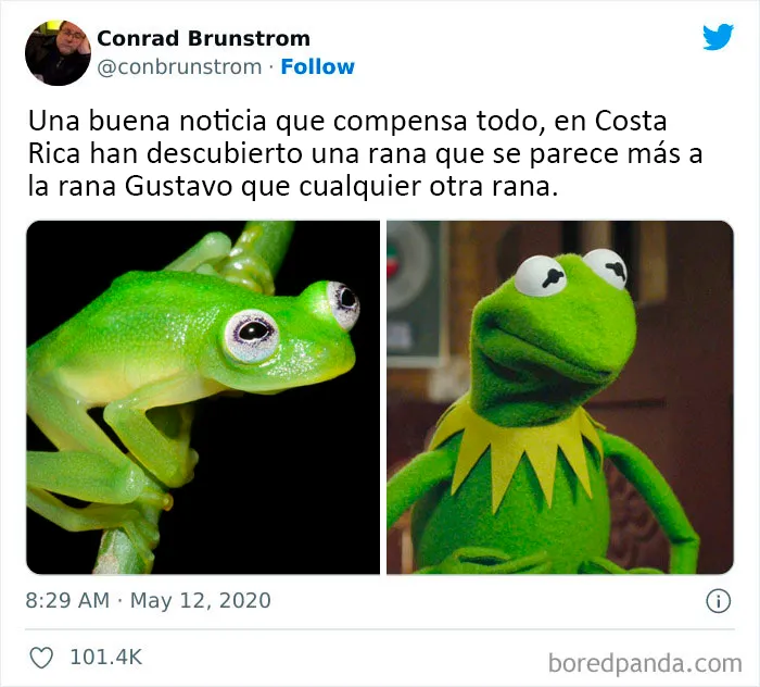 "Lo mejor y lo peor de Twitter": 20 de las más sorprendentes opiniones sobre casi todo (nuevas fotos)