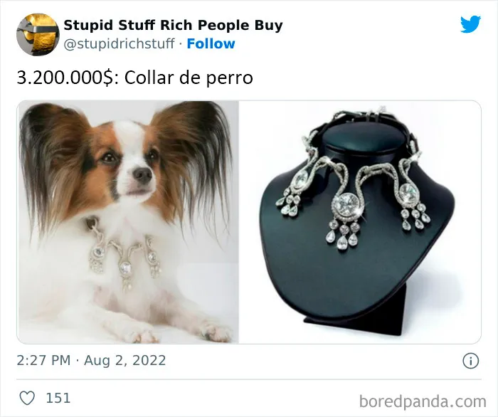22 Artículos tan inútiles y sobrevalorados que sólo pueden describirse como "cosas estúpidas que compran los ricos"