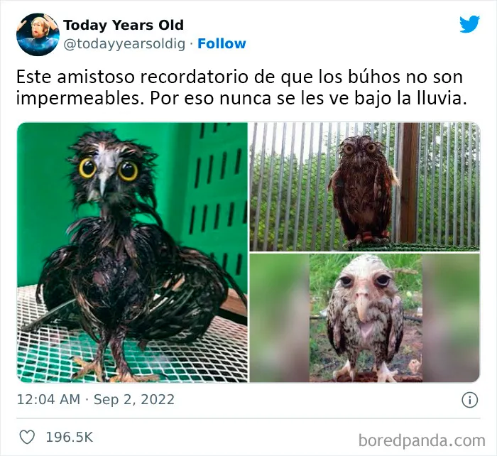 20 Datos muy interesantes compartidos por el proyecto de redes sociales "Today Years Old"