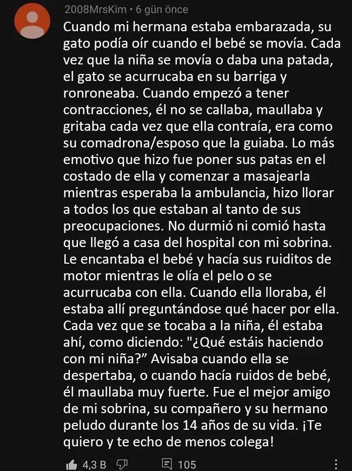 Si te sientes deprimido, estas 20 reconfortantes publicaciones quizá te animen