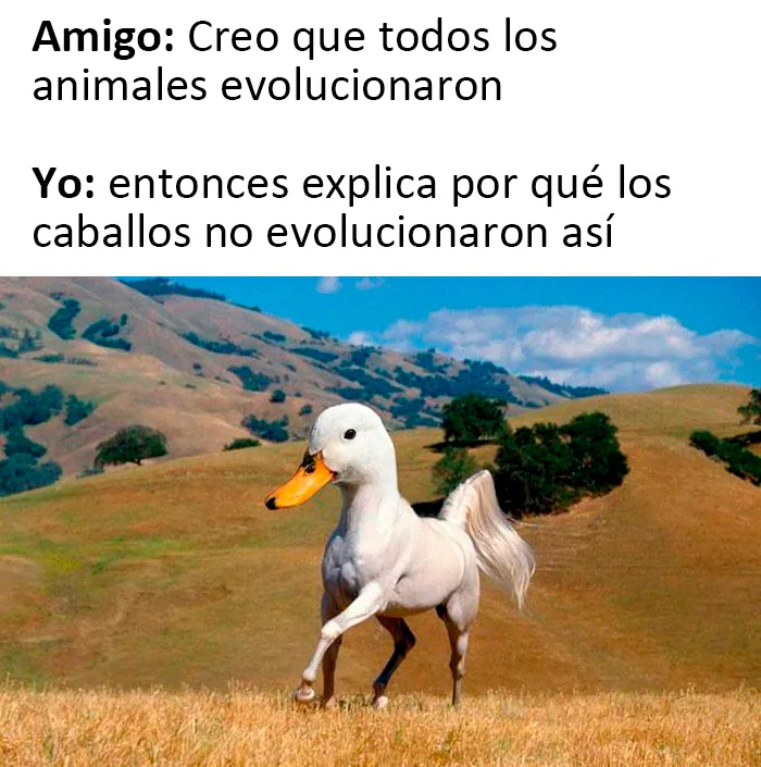 La cuenta de Facebook de este amigo de la familia es una joya