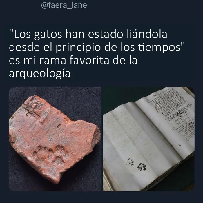 "Lo mejor y lo peor de Twitter": 20 de las más sorprendentes opiniones sobre casi todo (nuevas fotos)