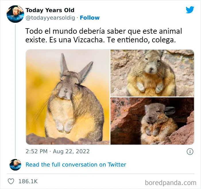 20 Datos muy interesantes compartidos por el proyecto de redes sociales "Today Years Old"