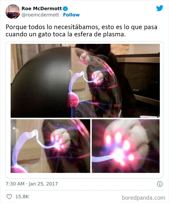"Lo mejor y lo peor de Twitter": 20 de las más sorprendentes opiniones sobre casi todo (nuevas fotos)