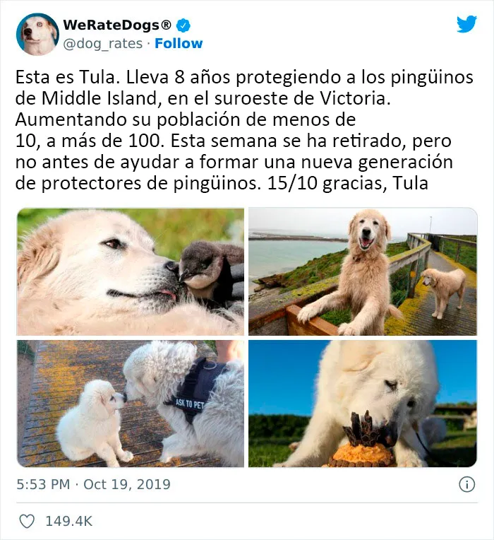 Si te sientes deprimido, estas 20 reconfortantes publicaciones quizá te animen