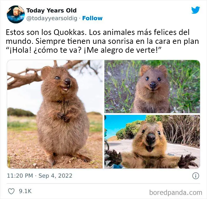 20 Datos muy interesantes compartidos por el proyecto de redes sociales "Today Years Old"