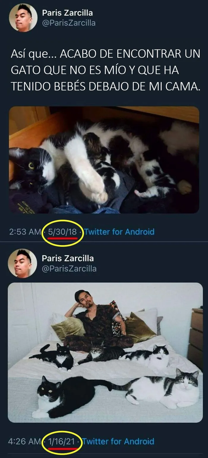 "Lo mejor y lo peor de Twitter": 20 de las más sorprendentes opiniones sobre casi todo (nuevas fotos)